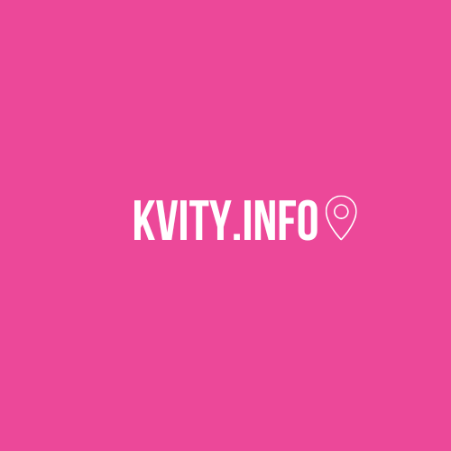KVITY.INFO